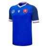 Camiseta de fútbol Eslovaquia 1ª equipación 2024-25 Camiseta de fútbol Eslovaquia 1ª equipación 2024-25